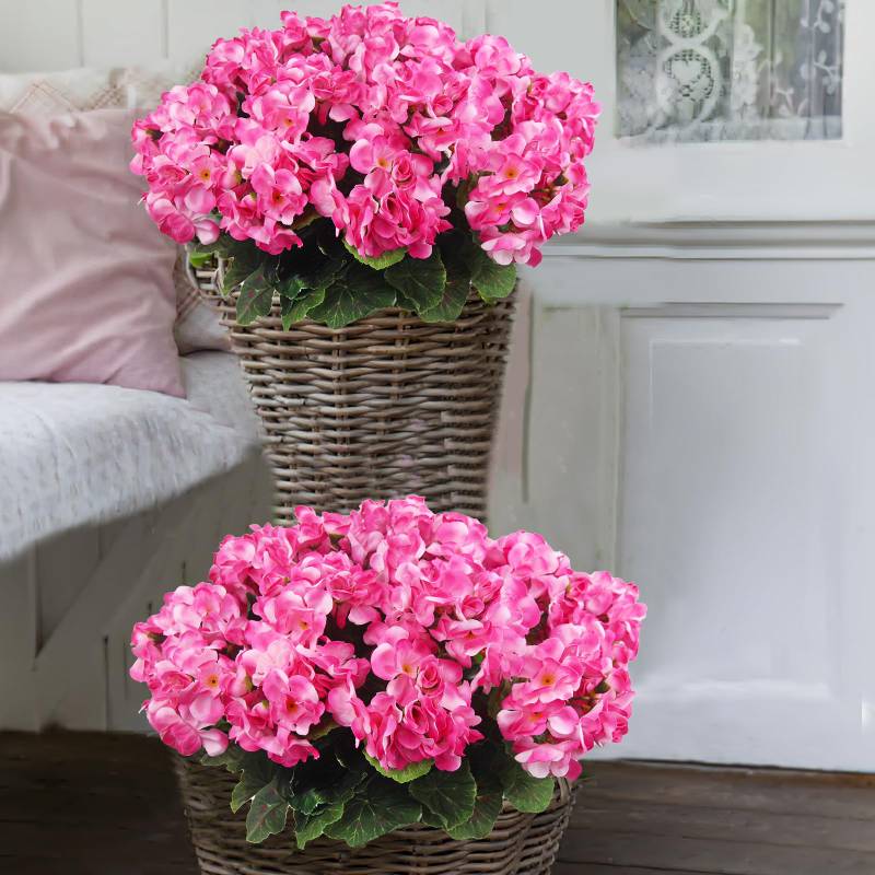 💐2025 Hot Sale✨UV-Resistant Lifelike Artificial Geraniums