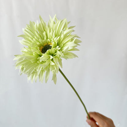 🌼2025 Hot Sale🔥Realistic Artificial Spider Gerbera Daisies Home Decor💐
