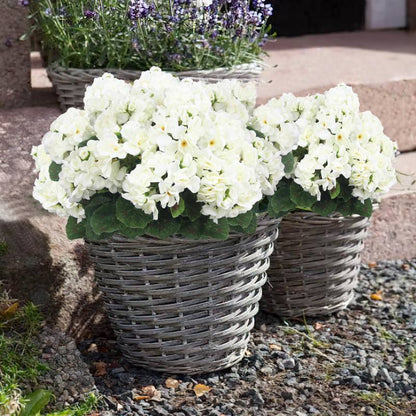 💐2025 Hot Sale✨UV-Resistant Lifelike Artificial Geraniums