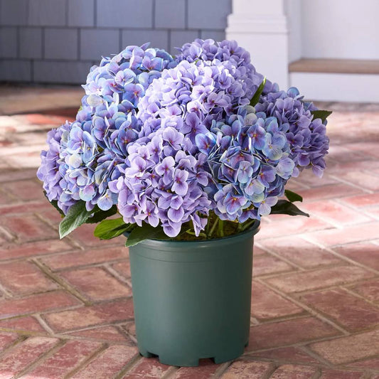 💥Last Day Only $3.99 Each💐Artificial Outdoor Hydrangea Flowers - UV resistant, Waterproof, Windproof