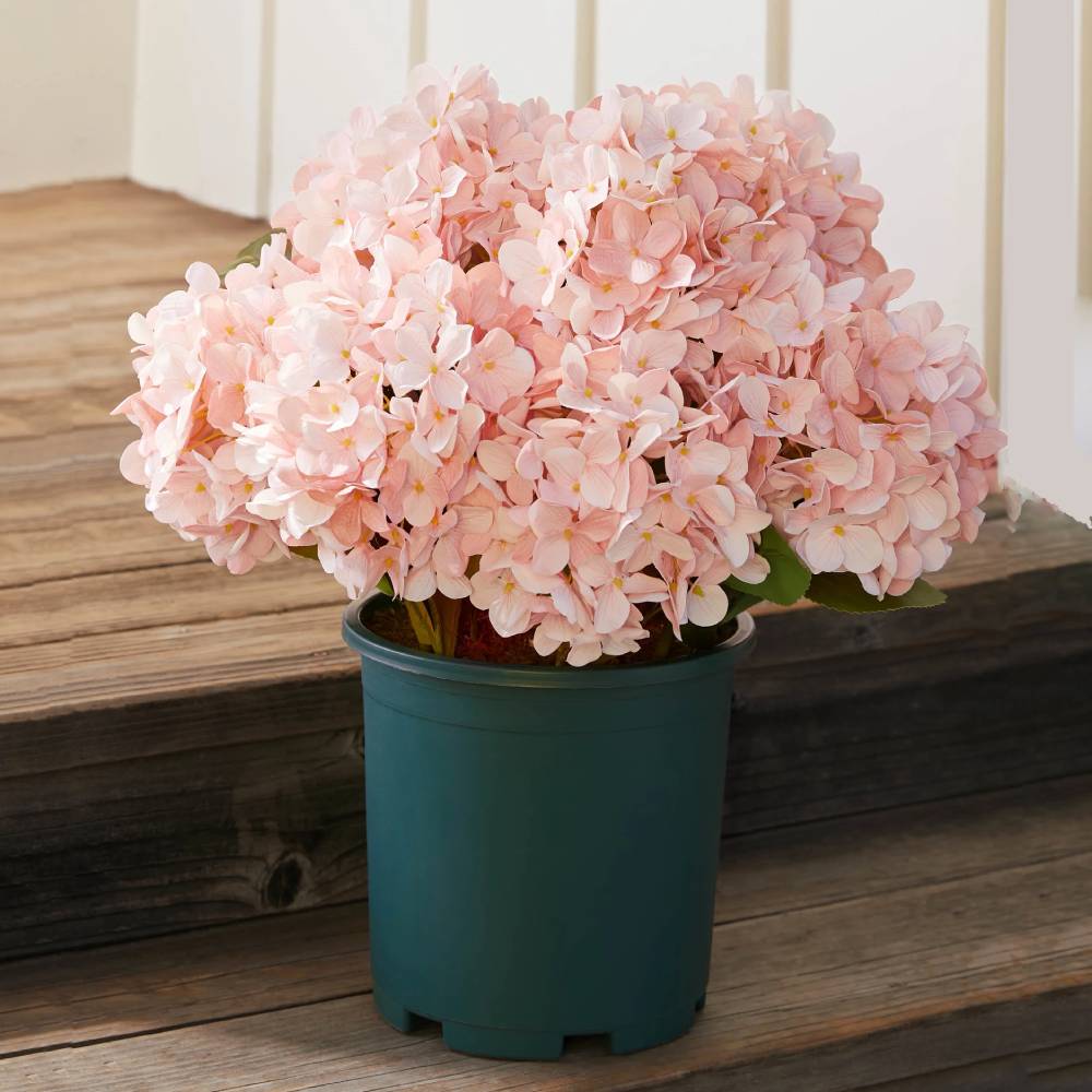 💥Last Day Only $3.99 Each💐Artificial Outdoor Hydrangea Flowers - UV resistant, Waterproof, Windproof