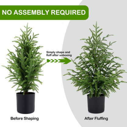 🎄Real Touch Norfolk Pine Topiary Tree - MINI CHRISTMAS TREE