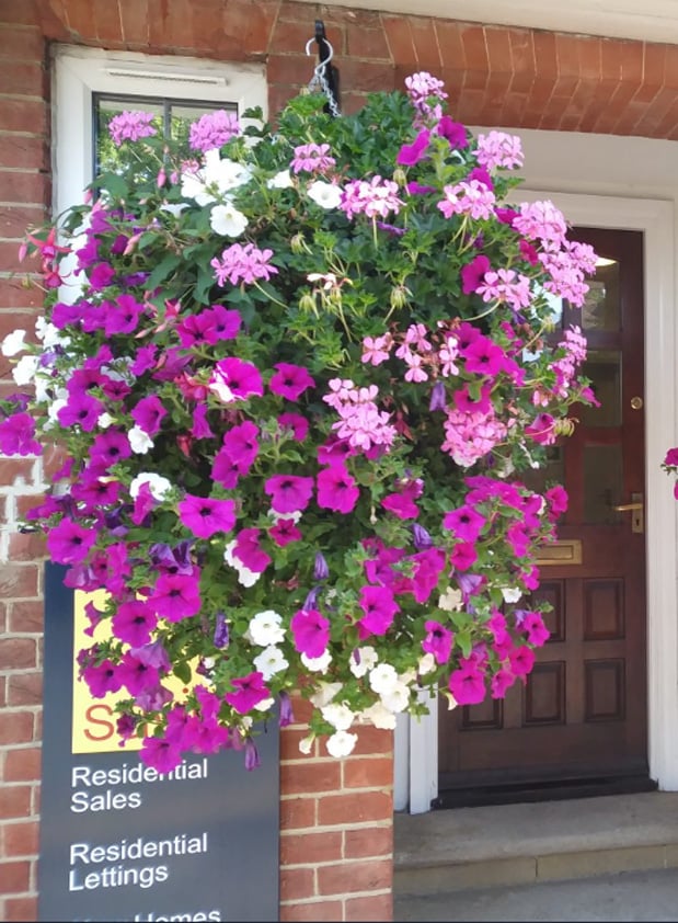 ✨2025 New upgrade hot sales✨UV Simulation Artificial morning glory